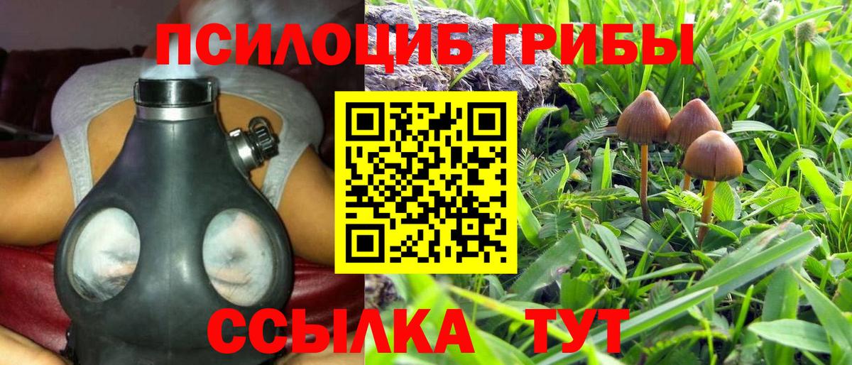 Псилоцибиновые грибы Magic Shrooms  Вход с VPN  цены   Кингисепп  Галлюциногенные грибы Magic Shrooms 